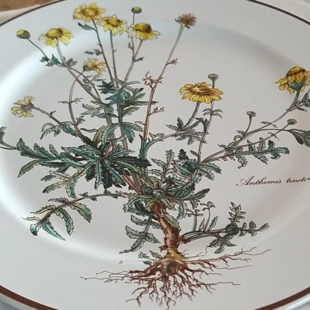 VILLEROY & BOCH Botanica Porcelain Dinner Plate